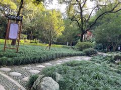 -灵隐飞来峰景区