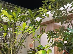 -菌林天下·野生菌汤锅
