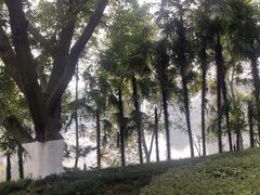 -重庆文理学院(星湖校区)