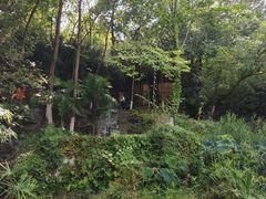 -富乐山
