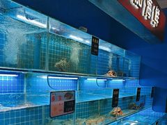 -鸽子侯·家宴·平价海鲜(市图书馆店)