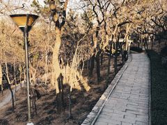 -观象山公园