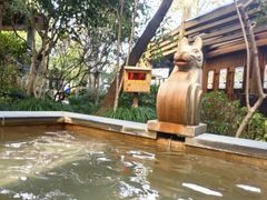 -张家港金凤凰度假村温泉