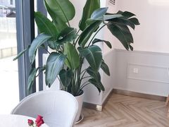 -PETIT PARIS 小巴黎(凯德1818店)