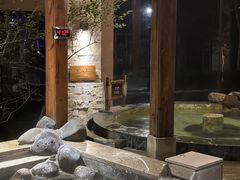 -汉拿山温泉度假酒店