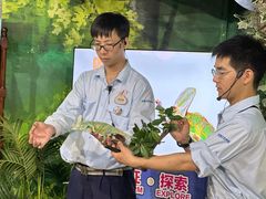 -广州长隆飞鸟乐园