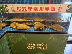 -西郊竹园甲鱼面(老一中店)