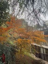 -尚圣月子会所·庄园式月子中心(萧山湘湖店)