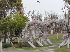 -府河摄影公园