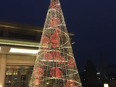 -成都安仁福朋喜来登酒店