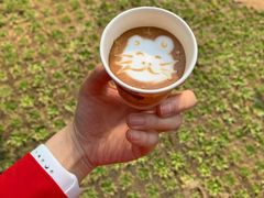 -DOI CHAANG Caffè Maesuai