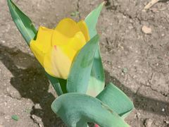 -长春公园(普阳街道)