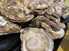 至尊桑拿蚝-天宝食坊·啫啫煲大排档(西华路店)