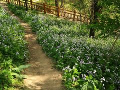-沈阳鸟岛