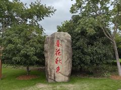 -自然谷恐龙园