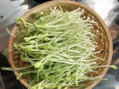 -凤园椰珍·臻品椰子鸡(保利时光里店)