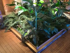 -浅深(北京北四环精品店)