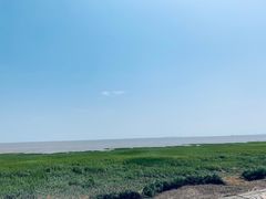 -南汇嘴观海公园