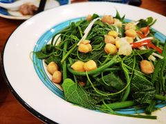 清炒南瓜尖儿-巴依老爷新疆美食(常营店)