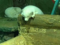 -大连圣亚海洋世界