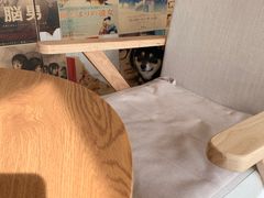 -柴犬小屋·柴餐厅·狗咖食堂(金鼎广场店)