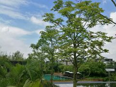-蓝楹湾度假酒店