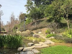 -云溪植物园