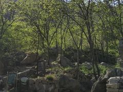 -大岭沟猕猴桃谷风景区