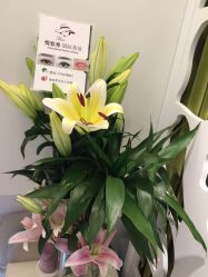 -Yue Show馨选·半永久纹眉纹眼线