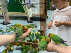 -荆州中山公园动物园