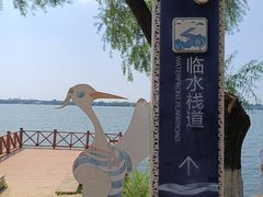 -丁香湖公园