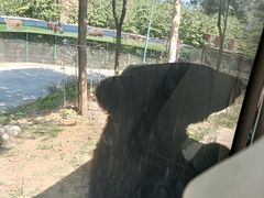 -栾川竹海野生动物园