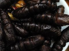 -昆虫窝子·特色云南菜(拓东路总店)