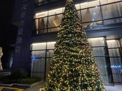 -杭州龙禧福朋喜来登酒店