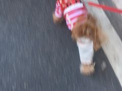 -碧桂园十里银滩
