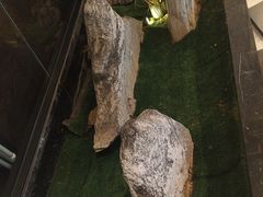 -小菜园新徽菜(连云港海州吾悦店)