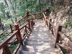 -大岭沟猕猴桃谷风景区