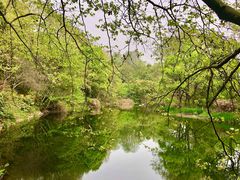 -阿哈湖国家湿地公园