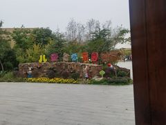 -合肥滨湖国家森林公园