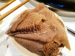 -朱氏胖子烂火锅(洪崖洞店)