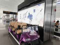 -郑州新郑国际机场-T2航站楼