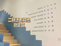 -柏萃动物医院·骨科·牙科