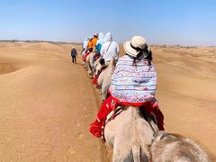 -银肯塔拉沙漠生态旅游景区