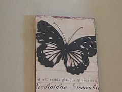 -萧山德纳MAX影城