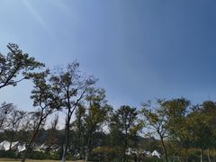-佛手湖郊野公园