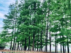 -龟山风景区-龟山电视塔