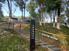 -马王堆汉墓遗址