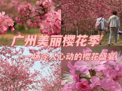 -天适樱花悠乐园