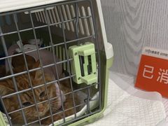 -纳吉亚猫专科动物医院·北北分院