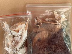 -彩虹桥宠物火化殡葬善终服务(金乐大厦店)